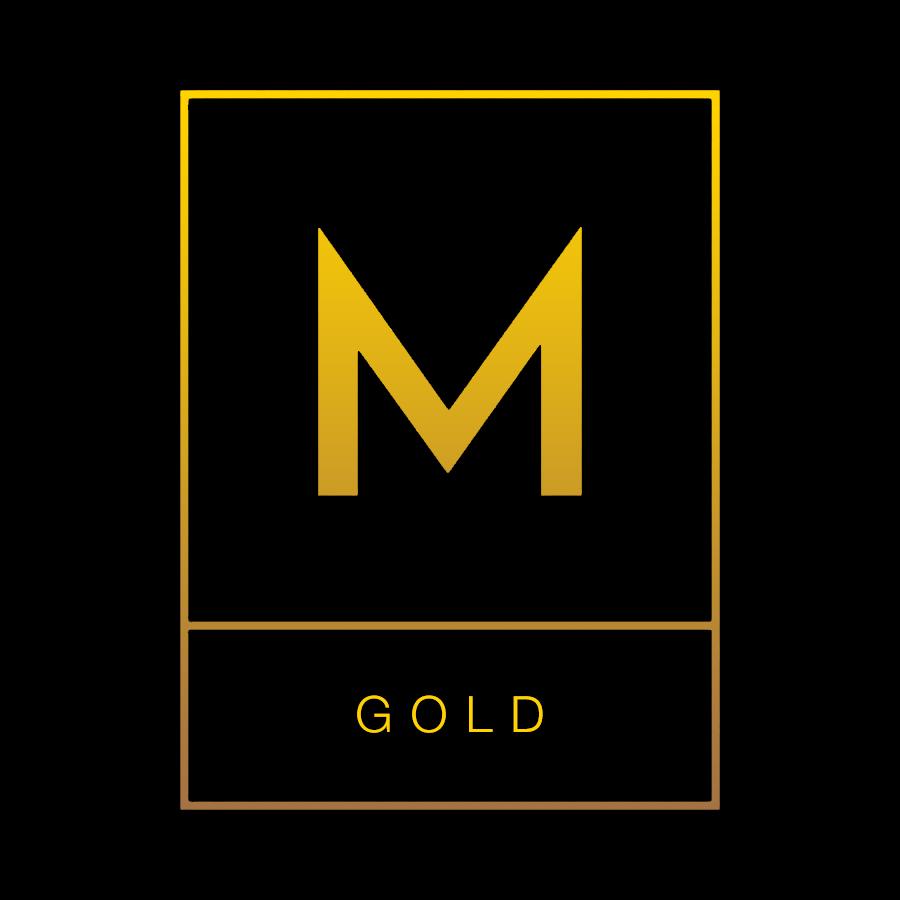 MODELCLASS - Gold Membership with Individual Feedback